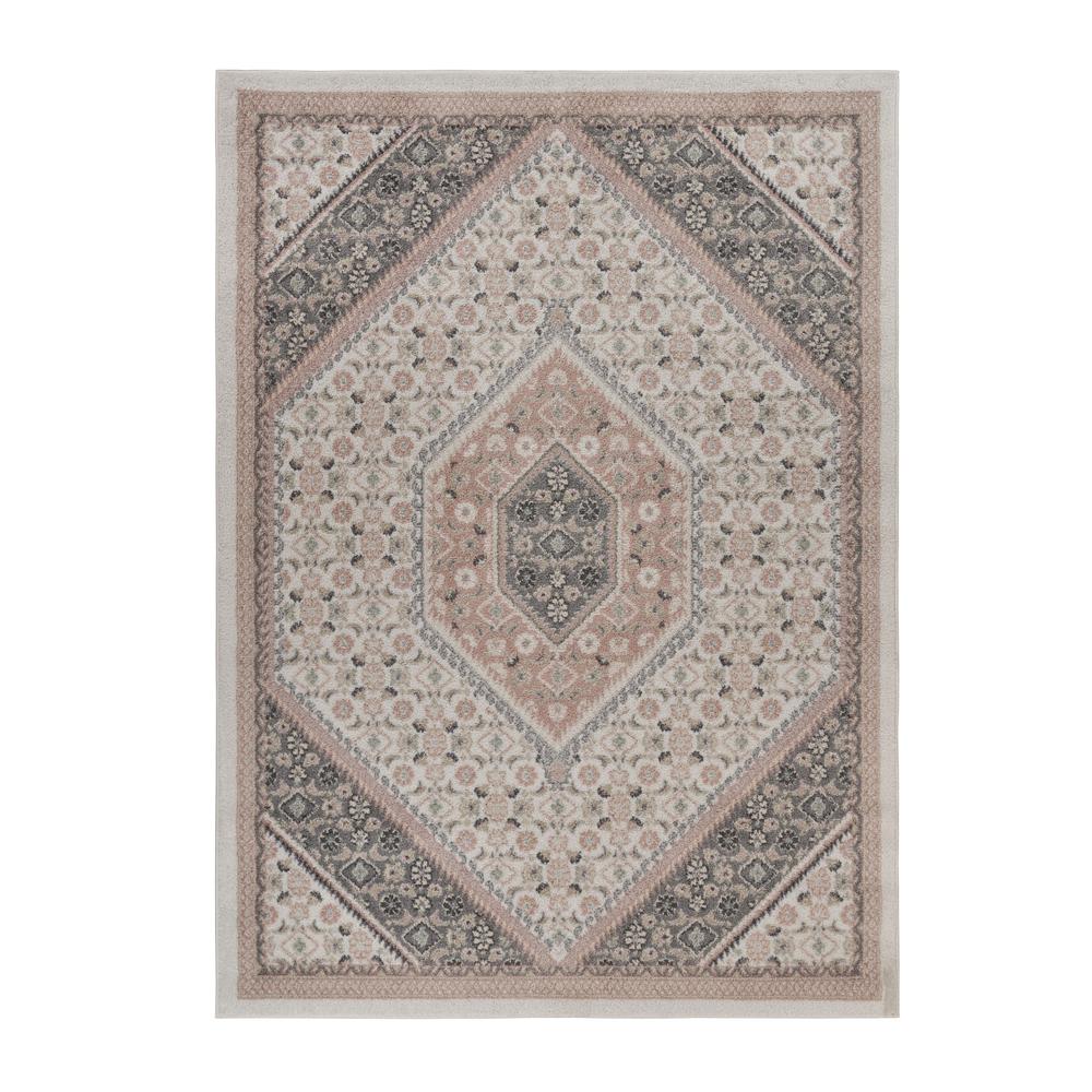 5’ x 7’ Gray and Blush Traditional Area Rug Gray/Ivory/Pink. Picture 9