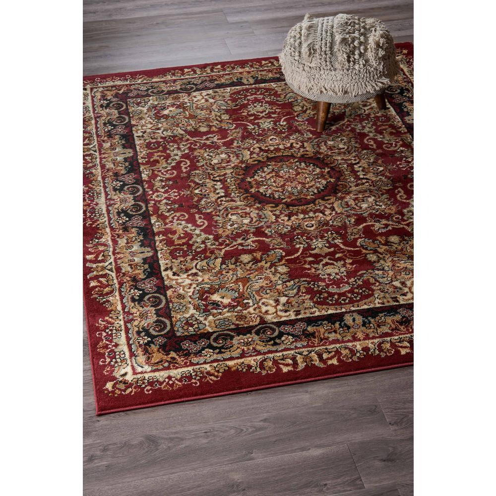 5’ x 7’ Red Royal Medallion Area Rug Red. Picture 7