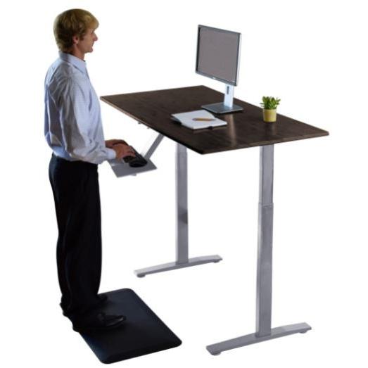 Premier Silver Dual Motor Electric Office Adjustable Standing Desk. Picture 4