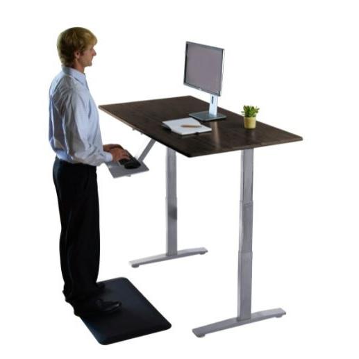 Premier 52" Silver Dual Motor Electric Office Adjustable Standing Desk. Picture 5