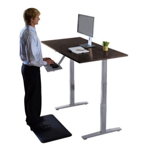 Premier 52" White Dual Motor Electric Office Adjustable Standing Desk. Picture 5