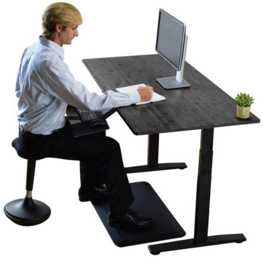 Premier 45" Black Dual Motor Electric Office Adjustable Standing Desk. Picture 6