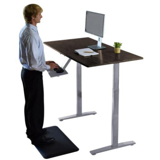 Premier 45" Gray Dual Motor Electric Office Adjustable Standing Desk. Picture 5