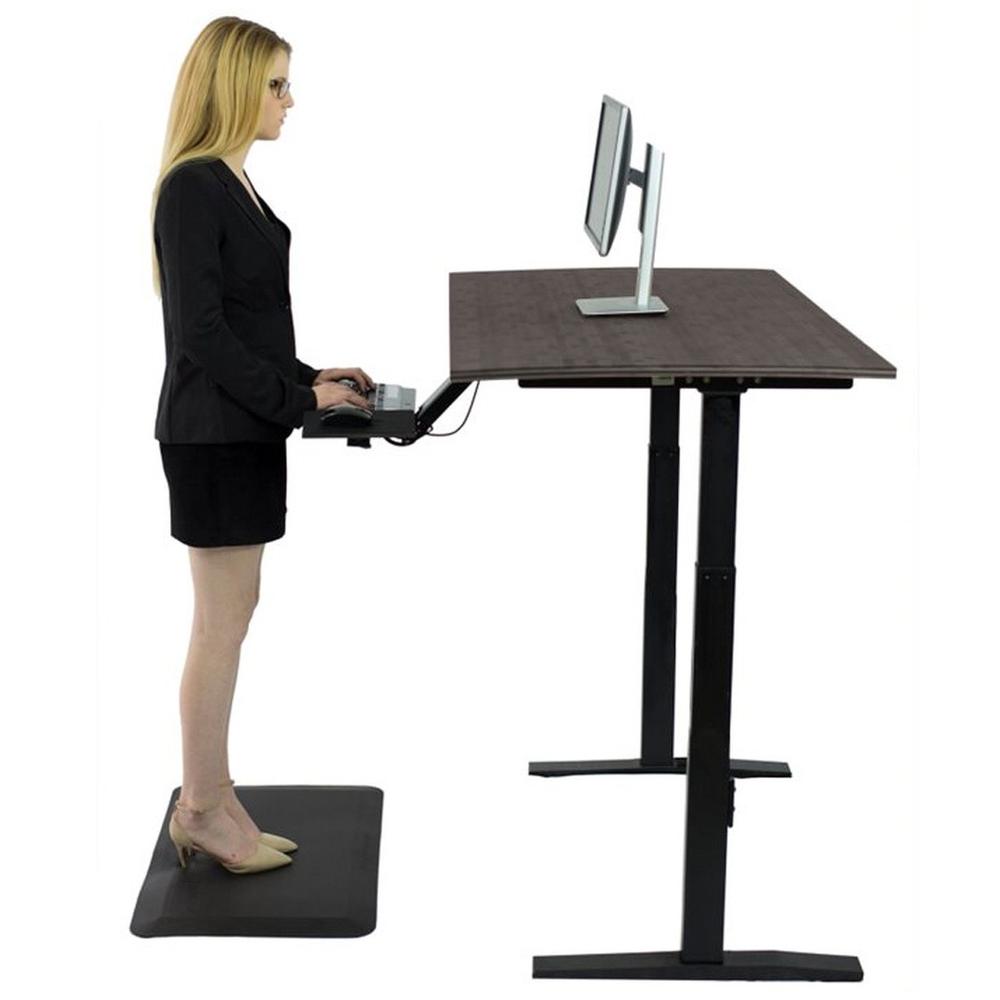 Premier 52" Black Dual Motor Electric Office Adjustable Standing Desk. Picture 3