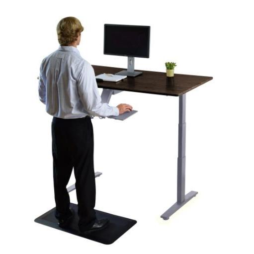 Premier 52" Gray Dual Motor Electric Office Adjustable Standing Desk. Picture 4