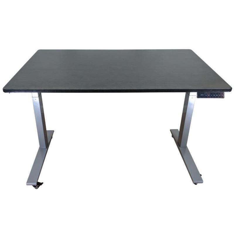 Gray and Black 52" Bamboo Dual Motor Electric Office Adjustable Computer Desk. Picture 1