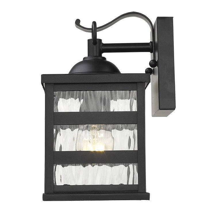 Glass panel Matte Black Outdoor Cage Light. Picture 4