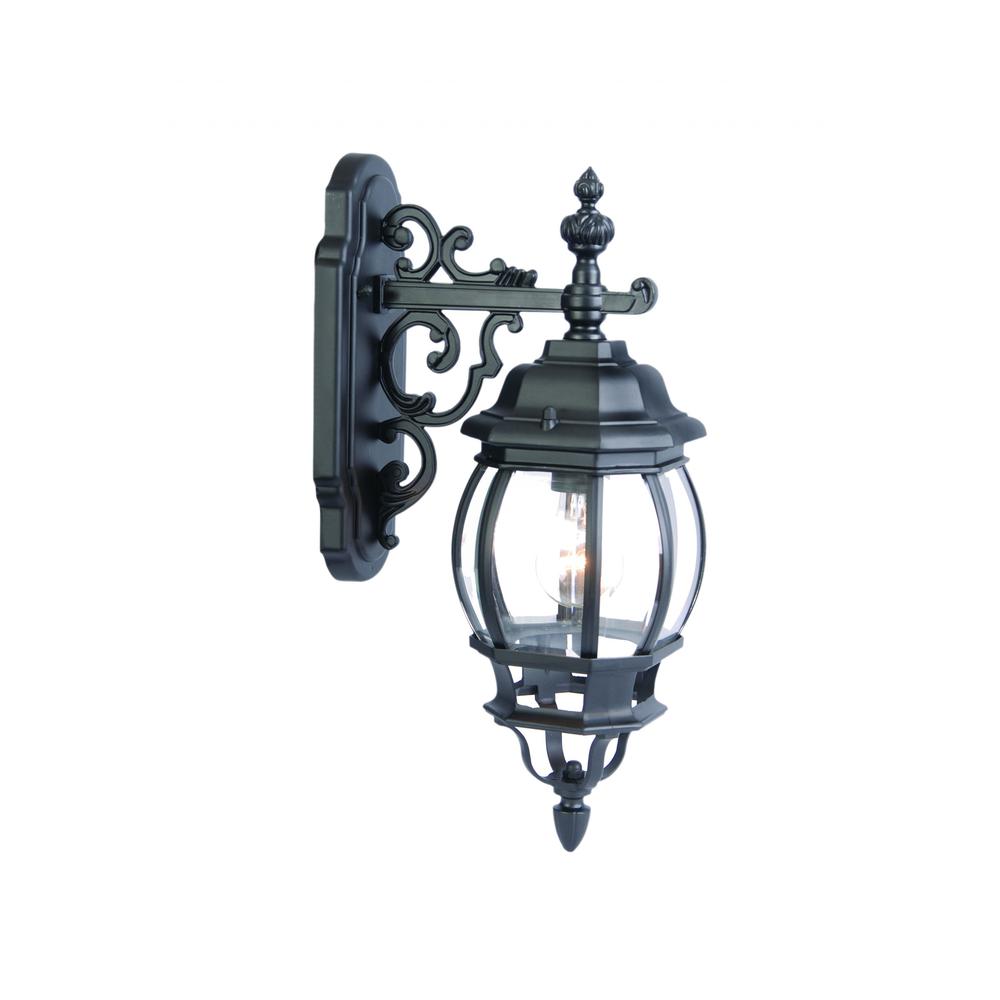 Matte Black Hanging Glass Globe Wall Light. Picture 1