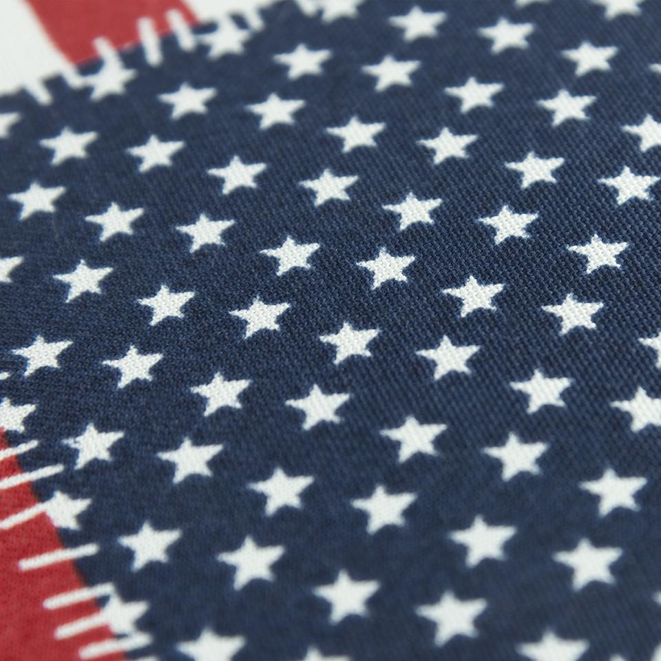 Red Blue American Flag Indoor Outdoor Throw Pillow. Picture 6