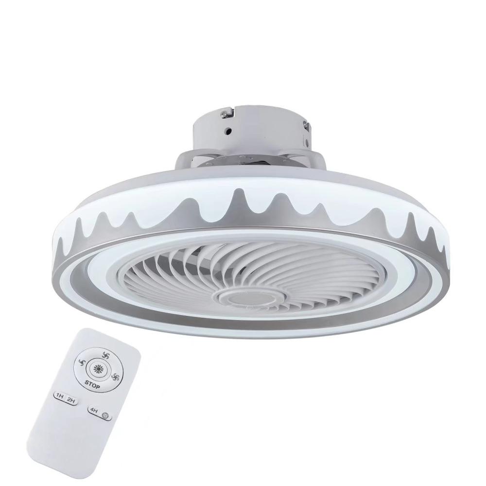 Contemporary Ceiling Fan and Light. Picture 4