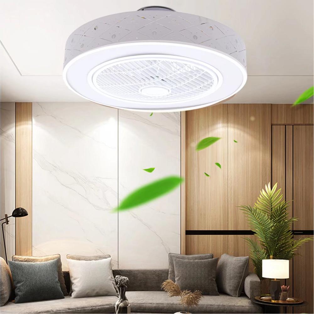 Contemporary Ceiling Ceiling Fan and Light. Picture 1