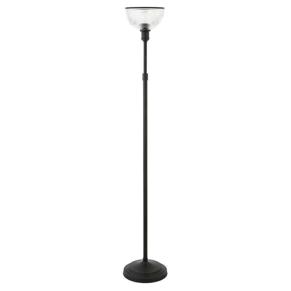 65" Black Novelty Floor Lamp With Clear Transparent Glass Dome Shade. Picture 1