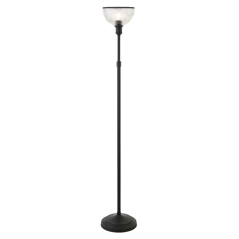 65" Black Novelty Floor Lamp With Clear Transparent Glass Dome Shade. Picture 2