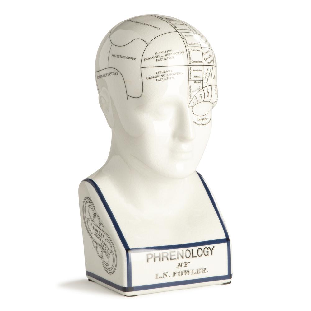 Phrenology Head Small. Picture 2