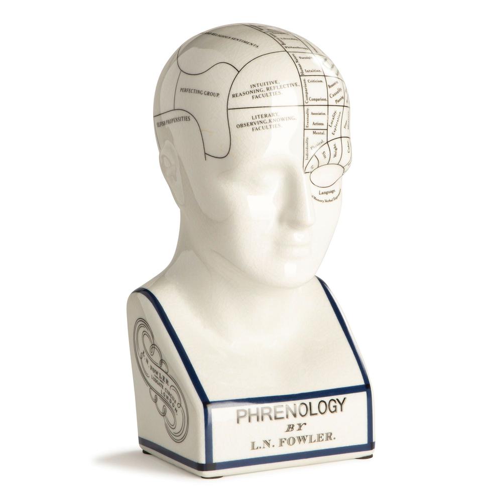 Phrenology Head Small. The main picture.