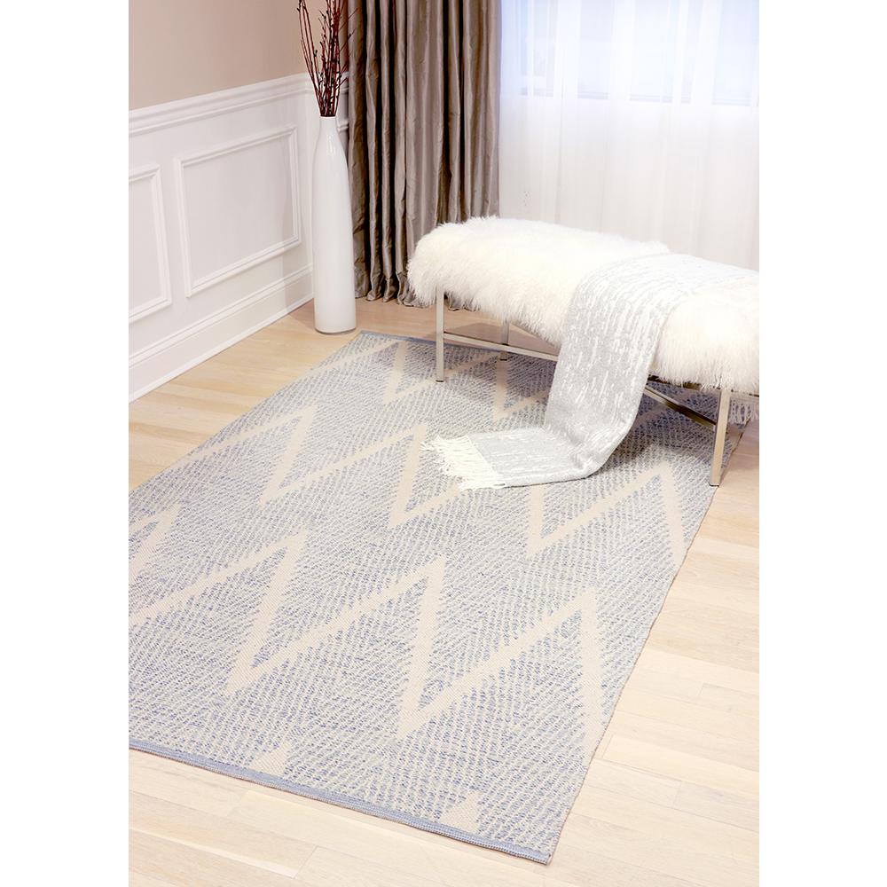 Pasargad Simplicity Collection Hand-Woven Cotton Area Rug- 4' 0" X 6' 0" - PLW-05 4x6. Picture 6
