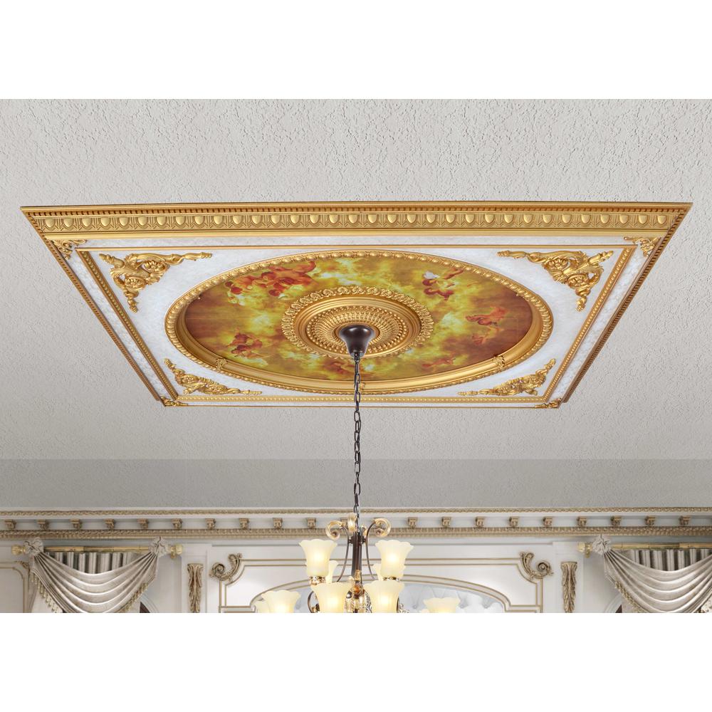 Classical Design Rectangular Ceiling Medallion 6ft x 8ft. Picture 5