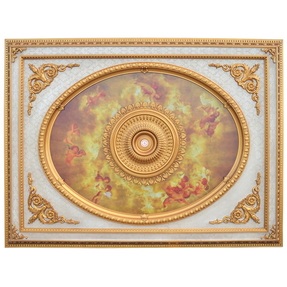 Classical Design Rectangular Ceiling Medallion 6ft x 8ft. Picture 1