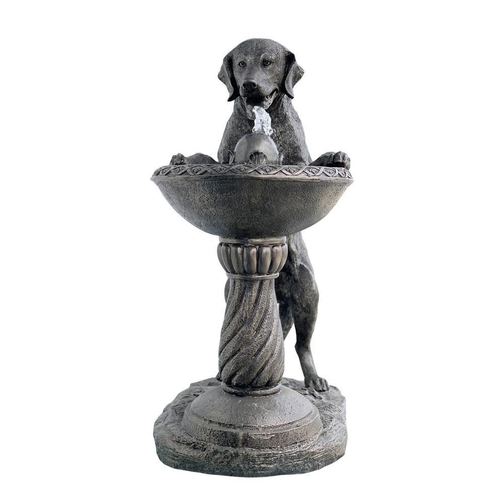 Labrador at Fountain  Large. Picture 2