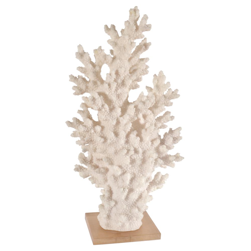 White Coral with Acrylic Base Tall. Picture 1