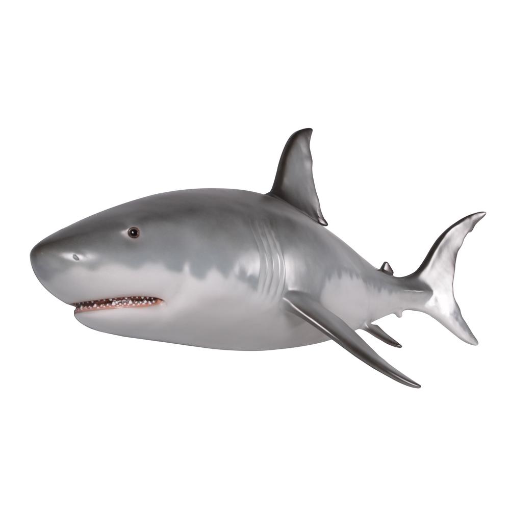Wall Mounted Great White Shark 6ft. Picture 1