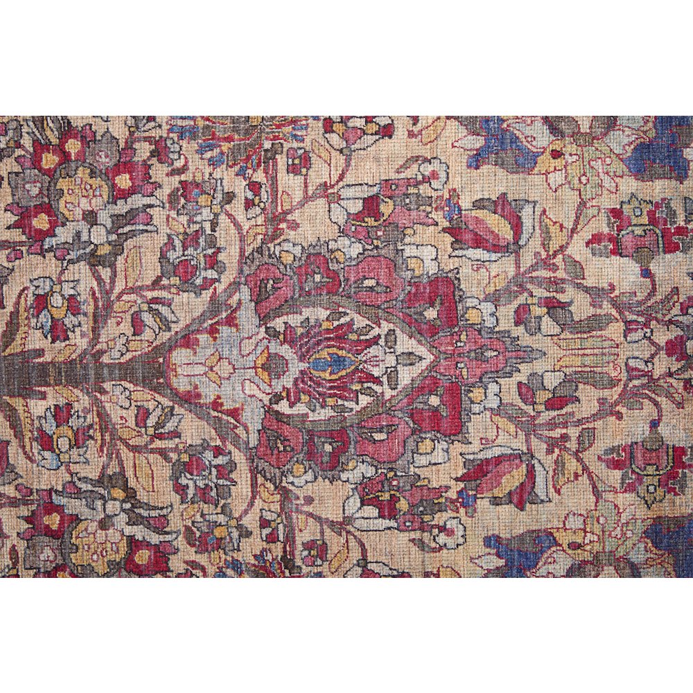 Rawlins Transitional Oriental, Red/Tan/Pink, 3'-11" x 6' Accent Rug. Picture 6