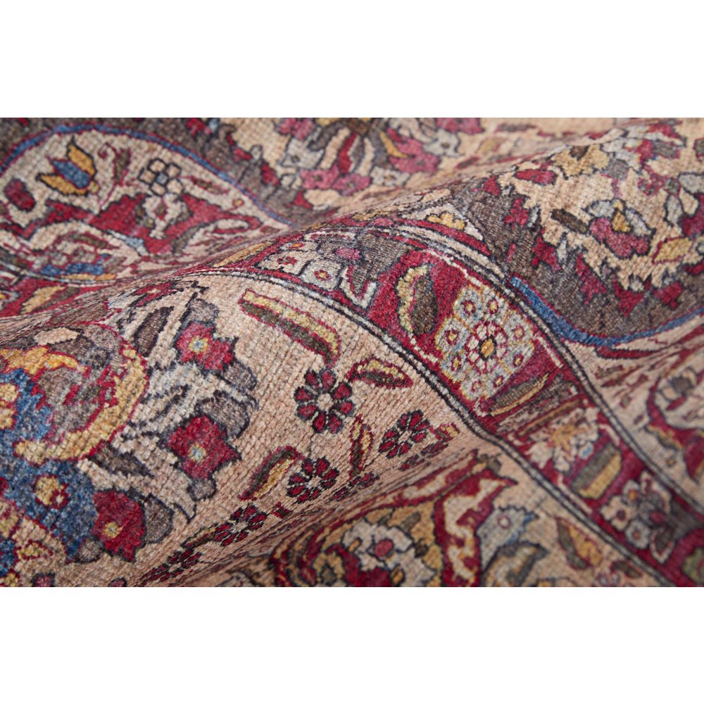 Rawlins Transitional Oriental, Red/Tan/Pink, 3'-11" x 6' Accent Rug. Picture 5