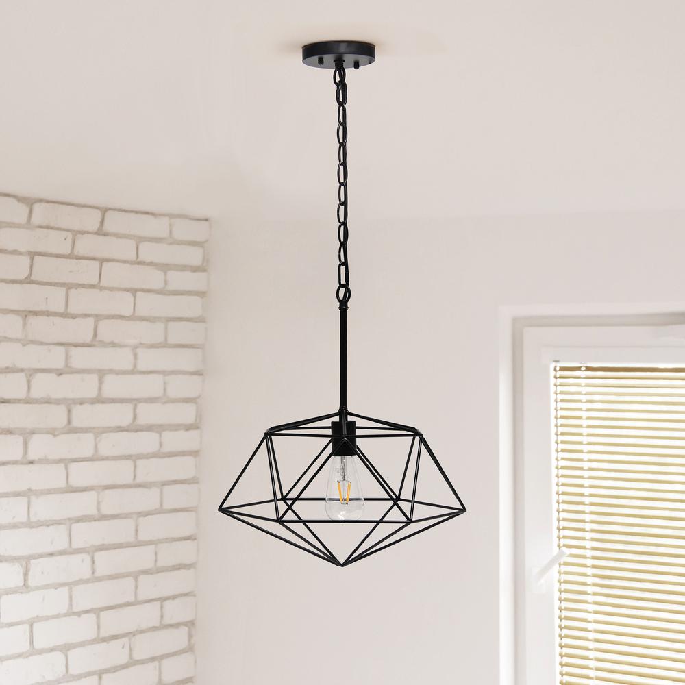 16" Wire Cage Hanging Ceiling 1 Light Fixture, Black. Picture 2