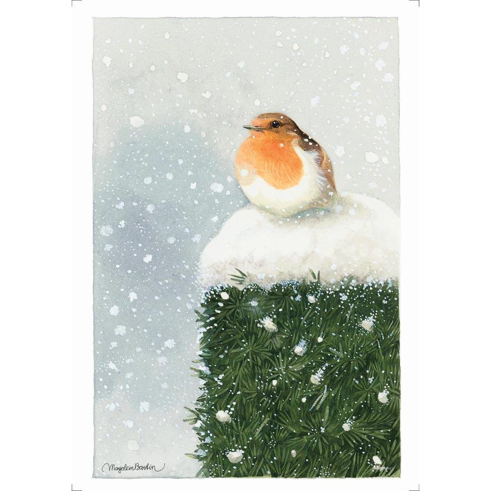 Marjolein Bastin (Red Breasted Robin) - MightyPrint™ Wall Art. Picture 2