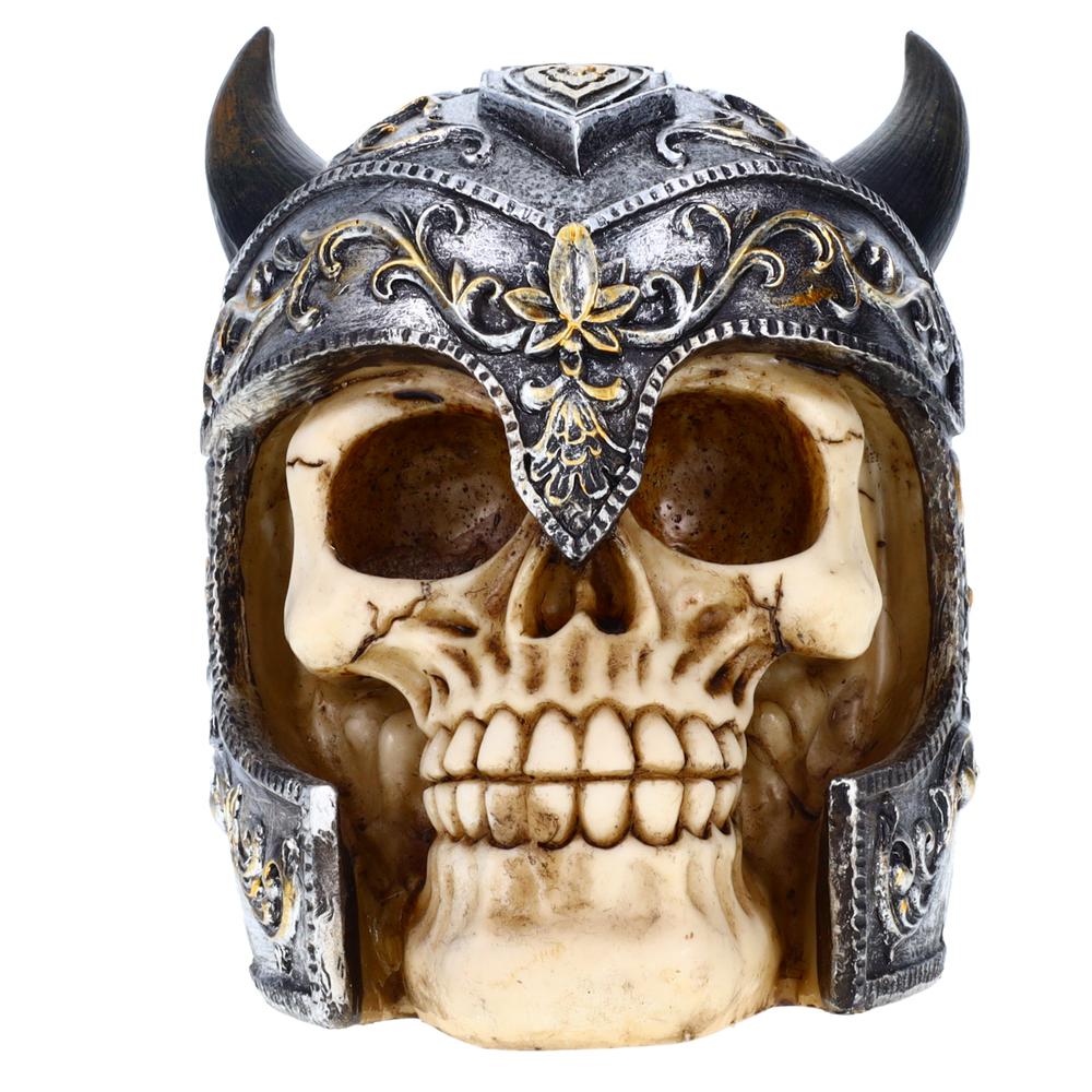 Helmet Skull. Picture 1