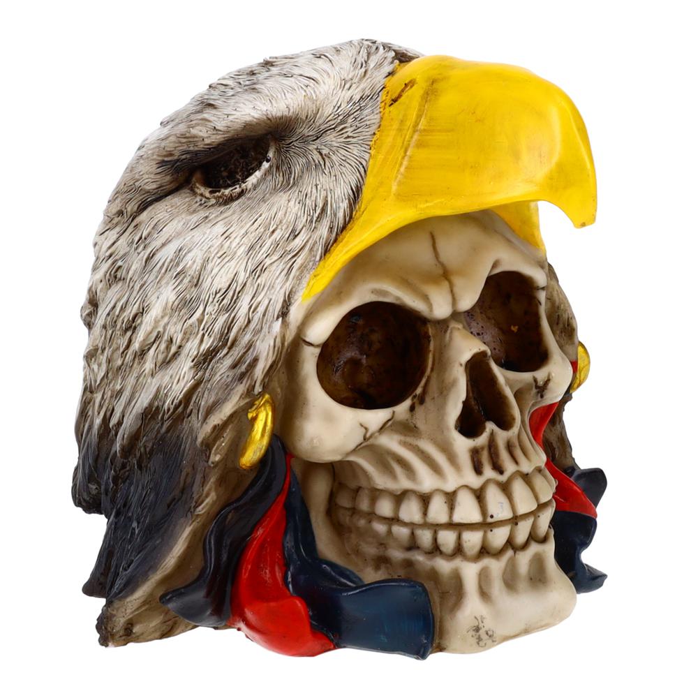 Eagle Hat Skull. Picture 2