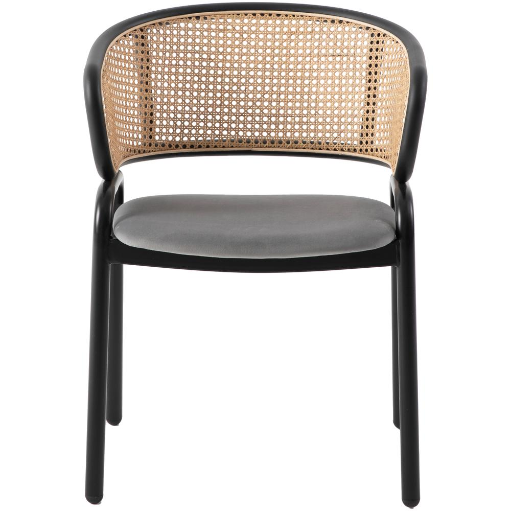 Dining Chair With Stainless Steel Legs Velvet Seat and Wicker Back. Picture 6