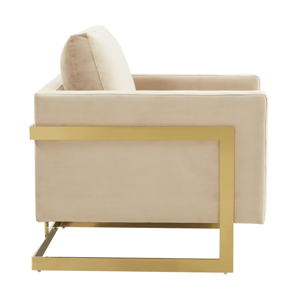 Velvet Accent Armchair With Gold Frame. Picture 3