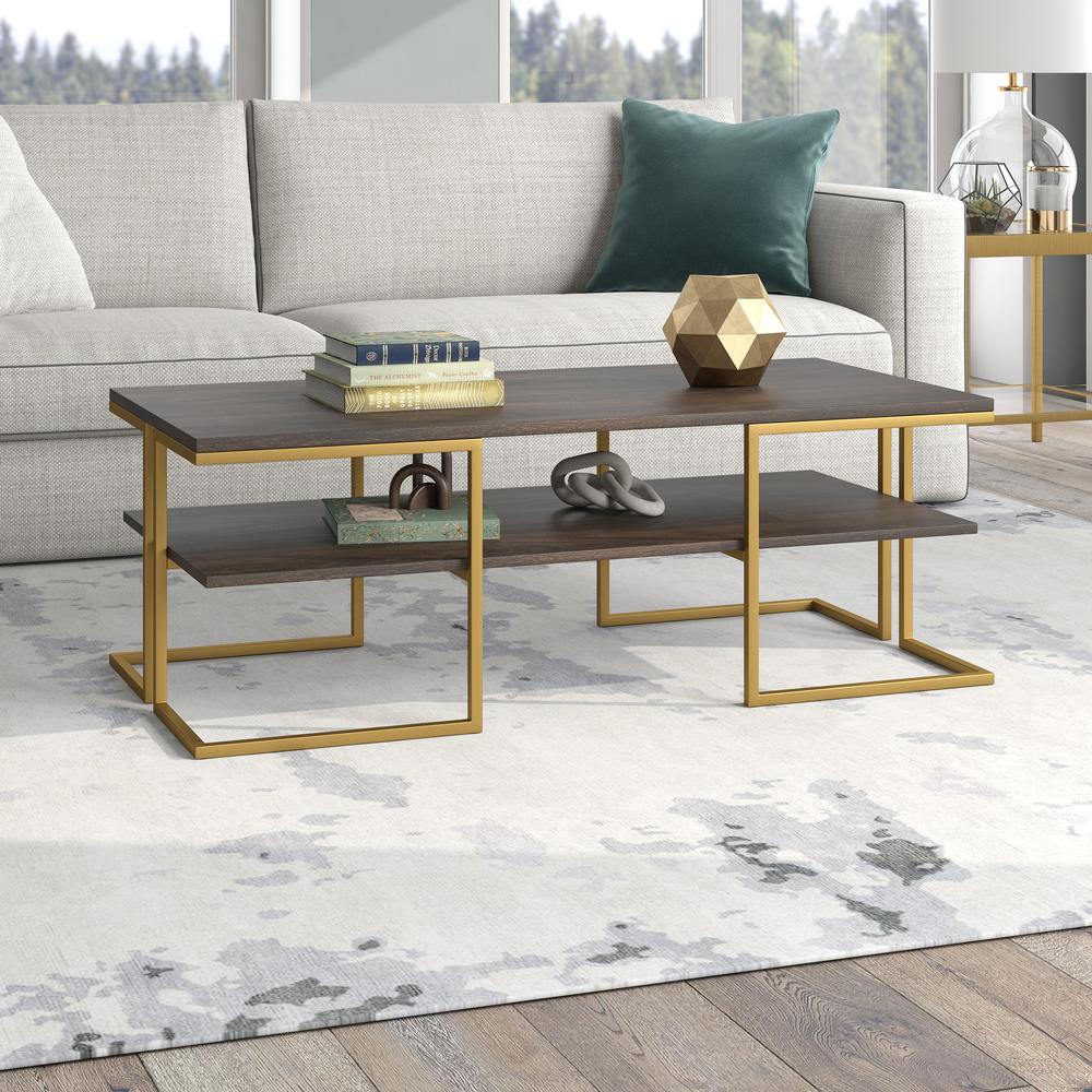 Pike 45" Wide Rectangular Coffee Table in Brass/Alder Brown. Picture 3