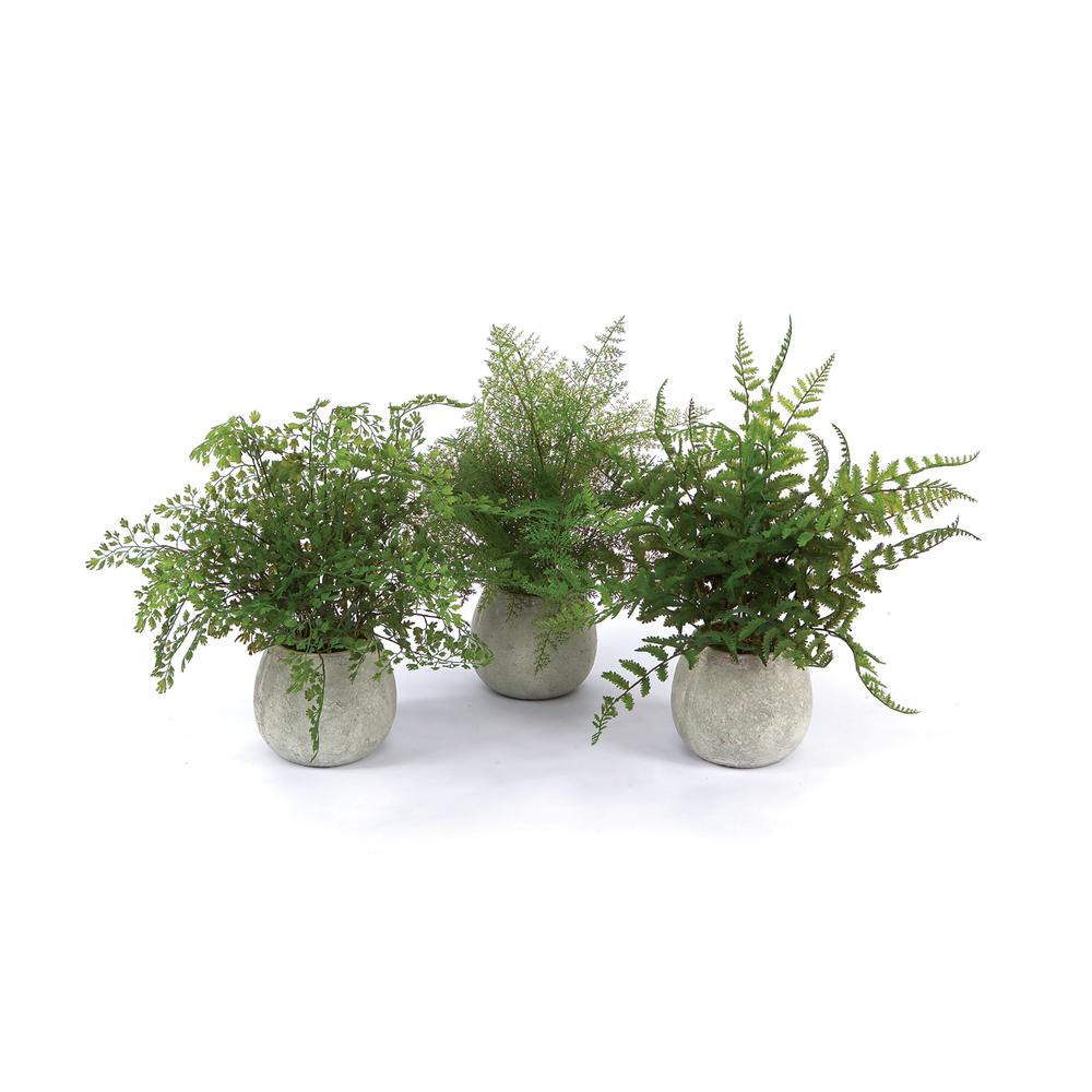 Potted Fern (Set of 3) 14"H Plastic. Picture 1
