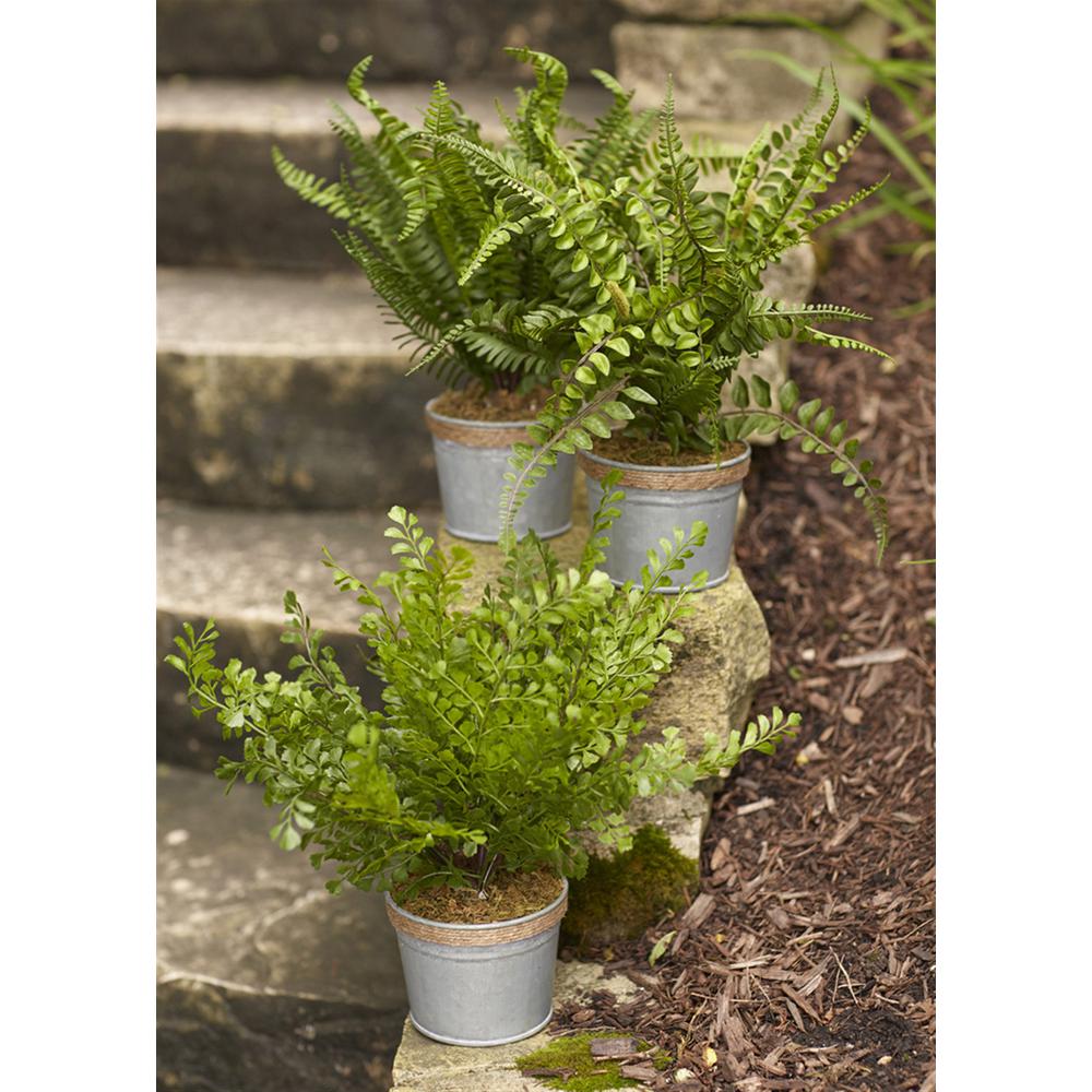 Potted Fern (Set of 3) 14.5"H Plastic/Tin. Picture 1