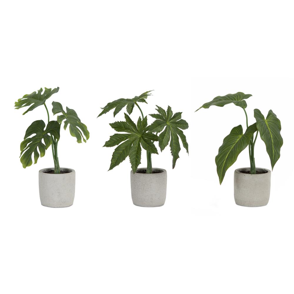 Potted Foliage (Set of 6) 10"H, 10.5"H, 11.5"H Polyester/Plastic. Picture 1