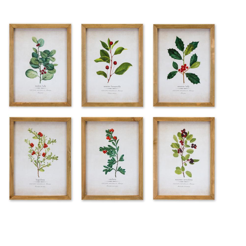 Framed Winter Foliage (Set of 6) 10.5"L x 14.25"H Paper/Wood/Glass. Picture 1