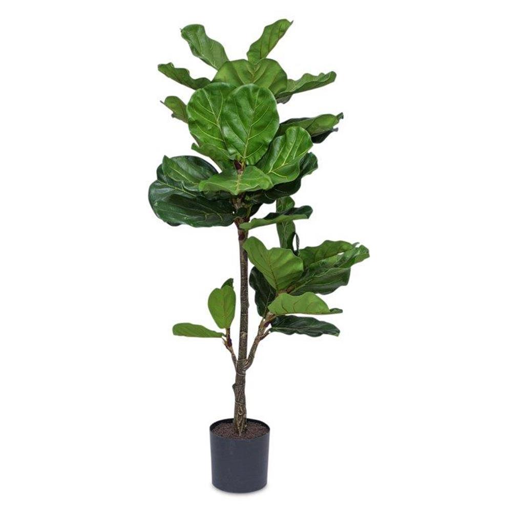 Potted Fiddle Leaf Fig 56"H , 82026DS. Picture 1