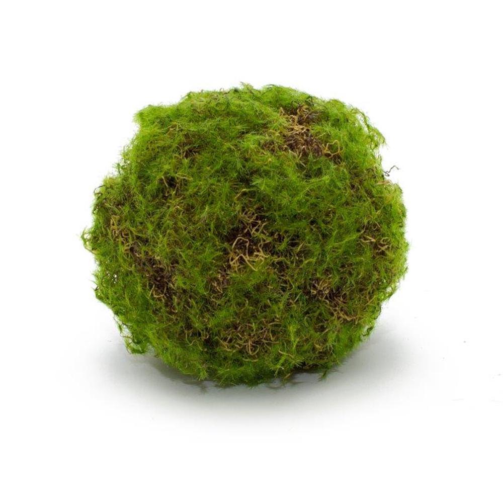 Moss Ball (Set of 4) 4.75"D , 82634DS. Picture 1