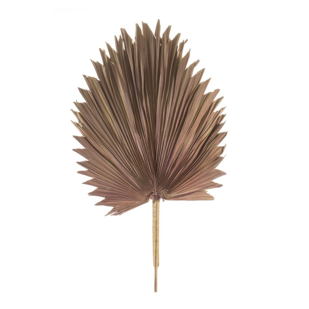 Fan Palm Leaf (Set of 6) Brown Palm. Picture 1