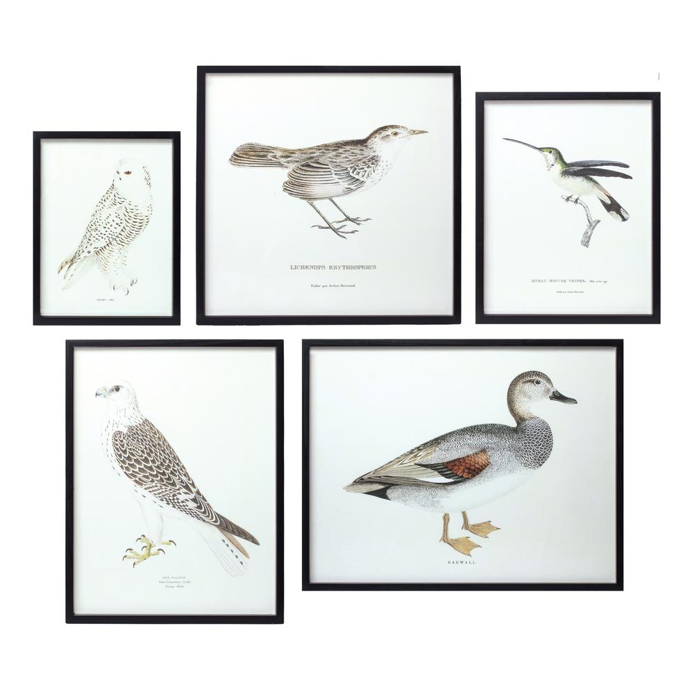 Bird Print Frame (Set of 5) 15.75"H, 17.75"H, 23.5"H, 21.75"SQ, 21.75"H Wood/MDF. Picture 2