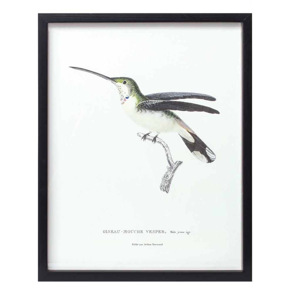 Bird Print Frame (Set of 5) 15.75"H, 17.75"H, 23.5"H, 21.75"SQ, 21.75"H Wood/MDF. Picture 5
