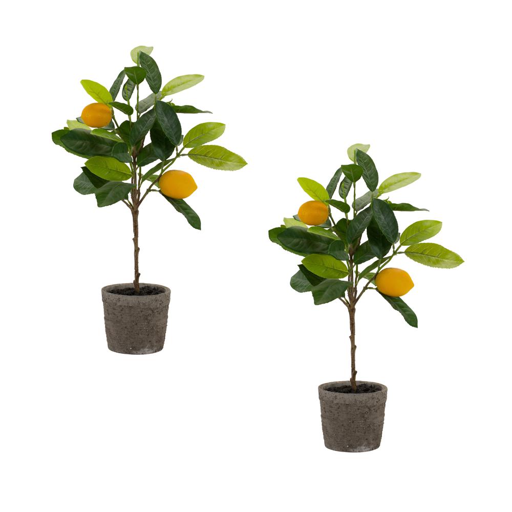 Potted Lemon Tree (Set of 2) 19.5"H Polyester. Picture 2