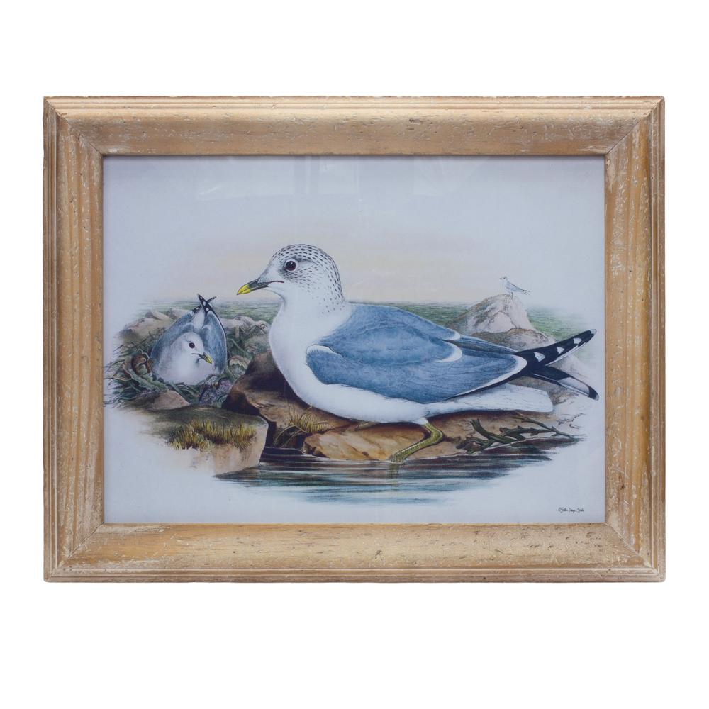 Framed Bird Print 16.5"L x 13"H Wood/Glass. Picture 1