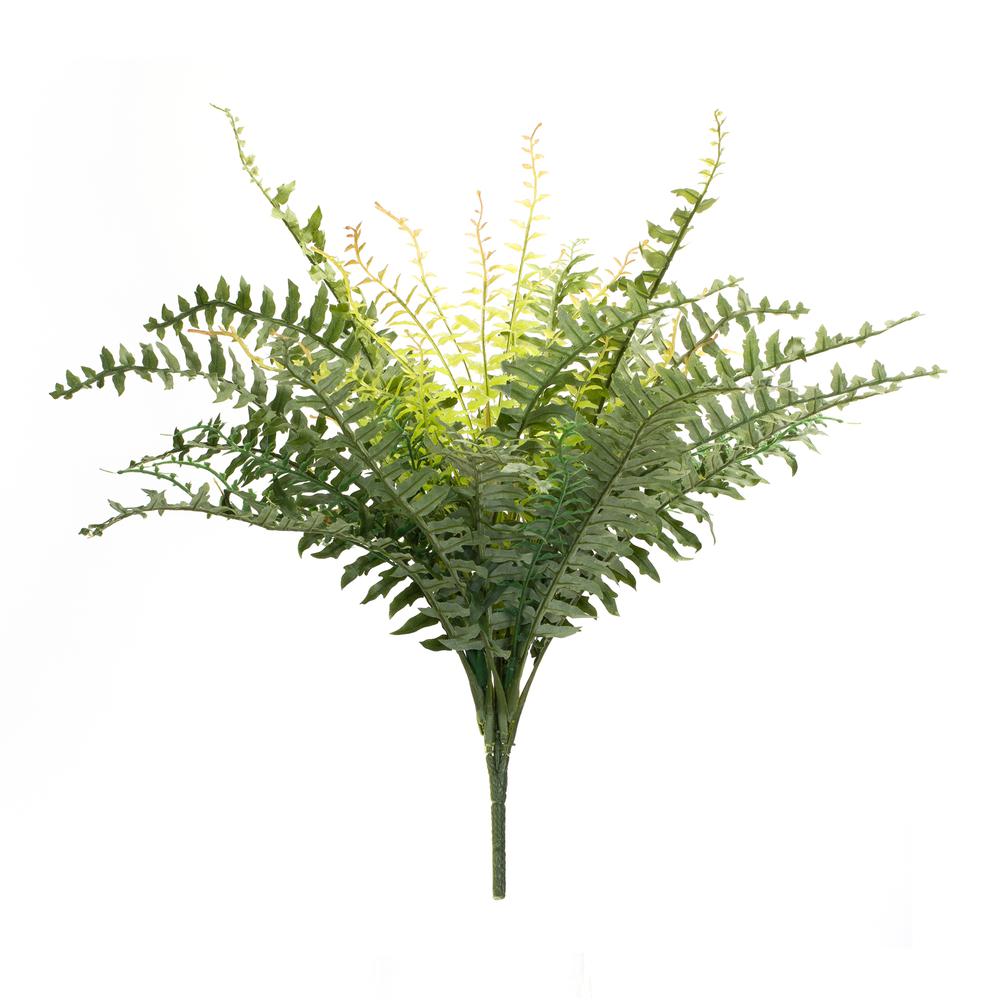 Fern Bush (Set of 2) 22.5"H Polyester. Picture 1