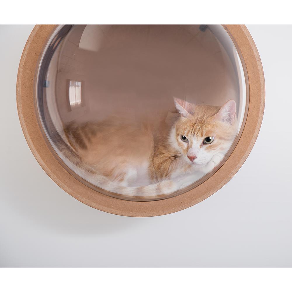 MyZoo Spaceship Gamma: Wall Mounted Cat Bed Open on the Left - Walnut. Picture 6