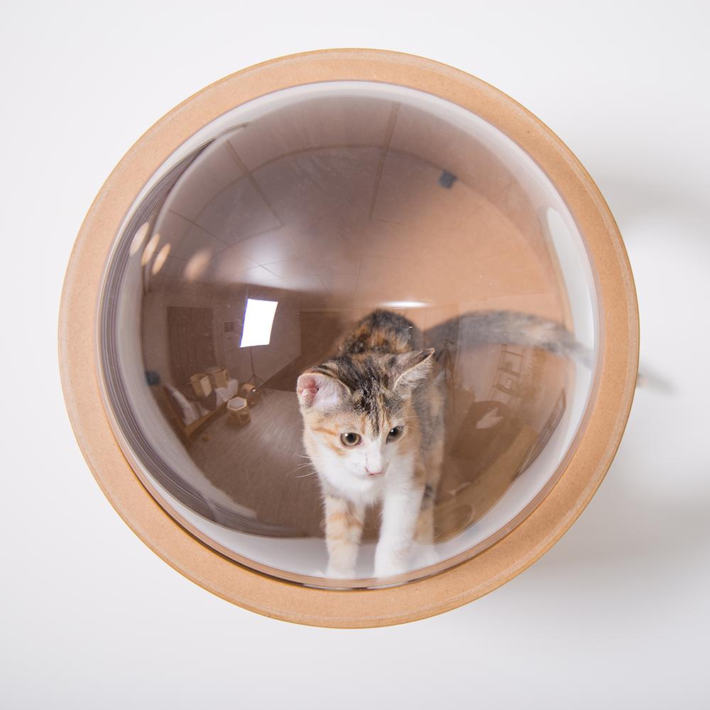 MyZoo Spaceship Gamma: Wall Mounted Cat Bed Open on the Left - Oak. Picture 7