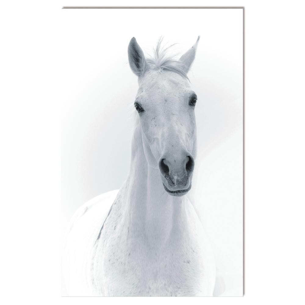 Acrylic portrait of a white horse 51 x 37. Picture 1