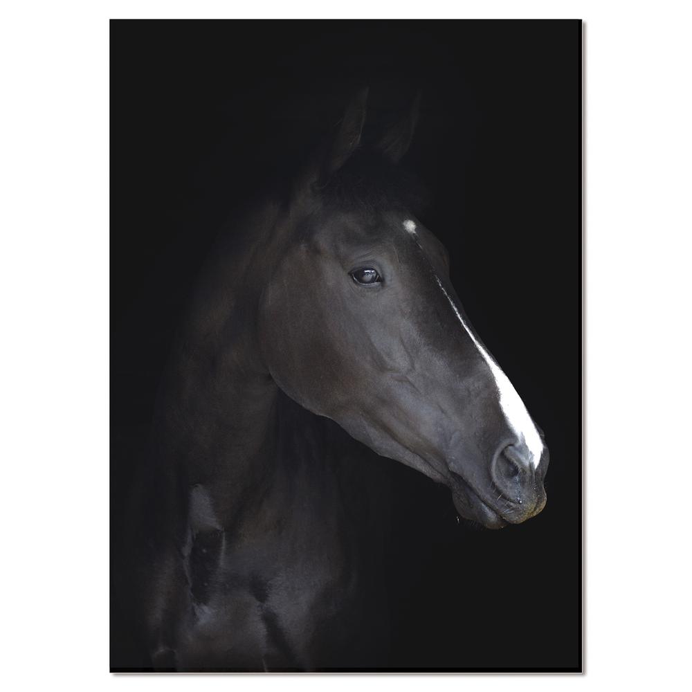 Acrylic headshot portrait of a black horse 51 x 37. The main picture.